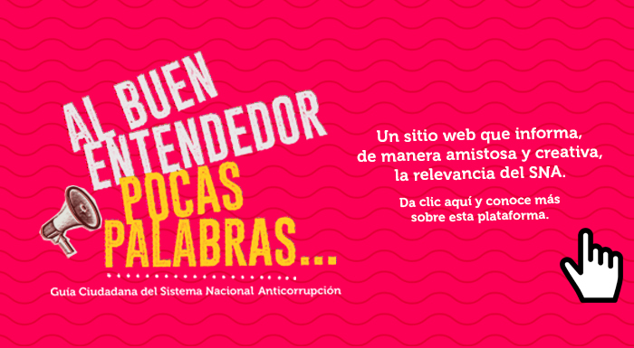 Guía-Ciudadana-del-SNA---Banner-Web